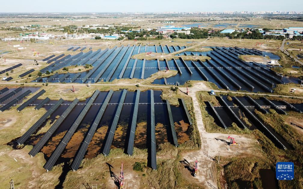 新莆京官网登录